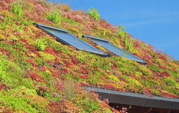 South Warnborough living roof systems