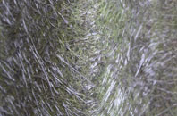 South Warnborough fibreglass roof work